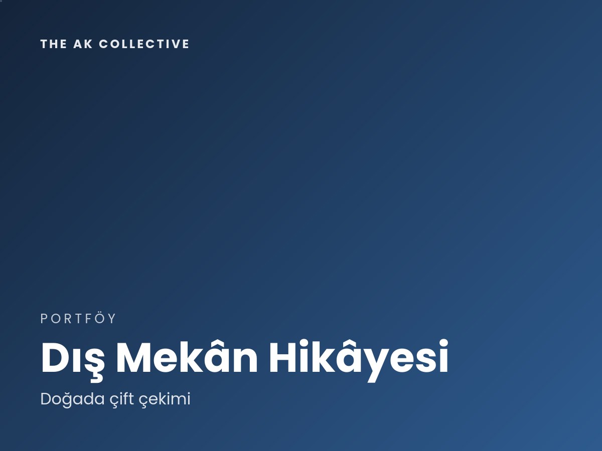 The Ak Collectıve 3